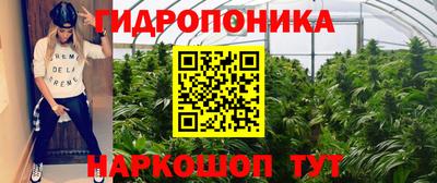 молекула духа Брянск